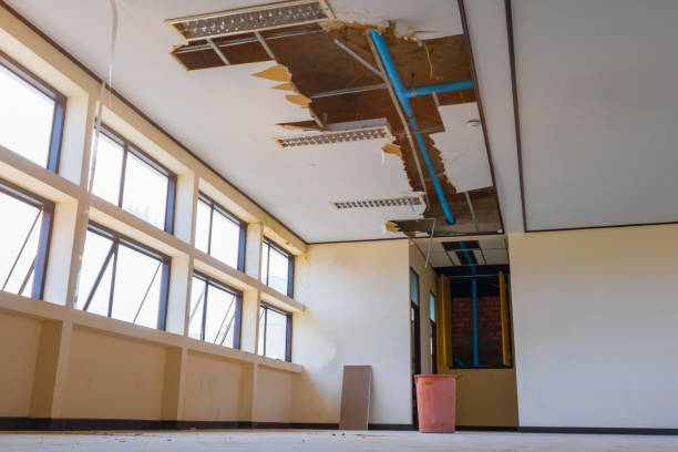 Best Water damage mitigation services  in Lake St Louis, MO