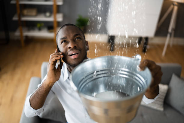 Best Ceiling water damage repair  in Lake St Louis, MO