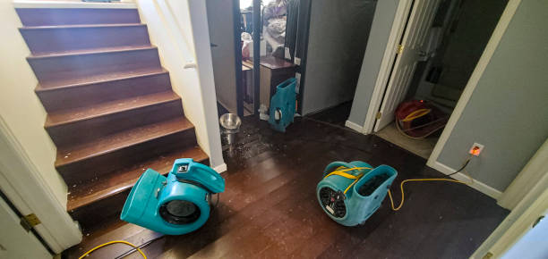 Best Water damage cleanup near me  in Lake St Louis, MO