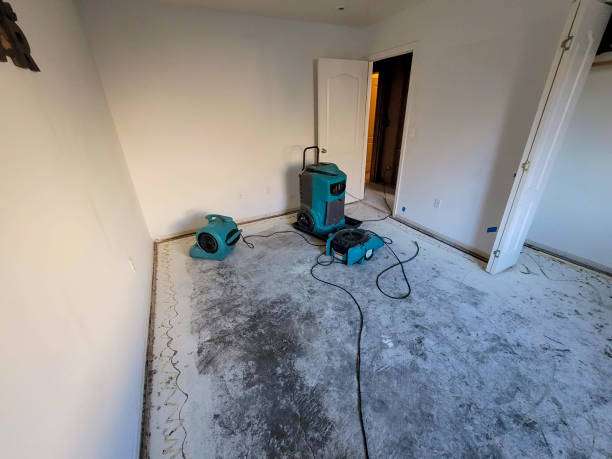 Best Local water damage restoration  in Lake St Louis, MO