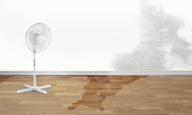 Best Water damage restoration specialists  in Lake St Louis, MO
