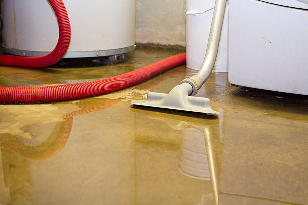 Best Commercial water damage restoration  in Lake St Louis, MO