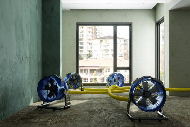 Best Residential water damage restoration  in Lake St Louis, MO